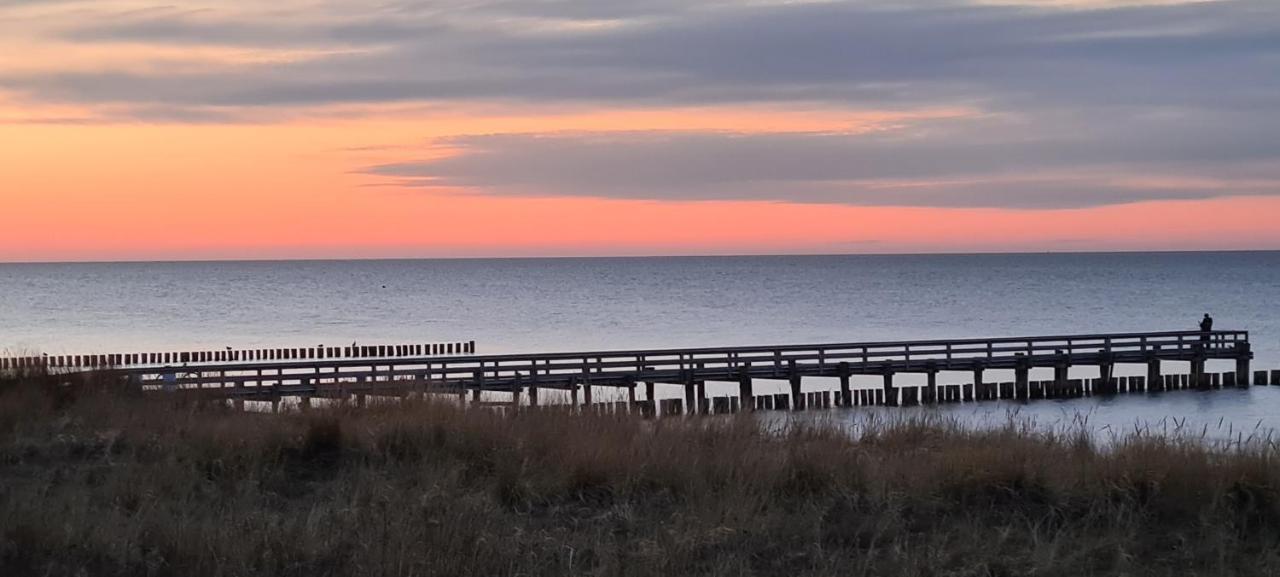Haus Nadine Lejlighed Zingst Eksteriør billede