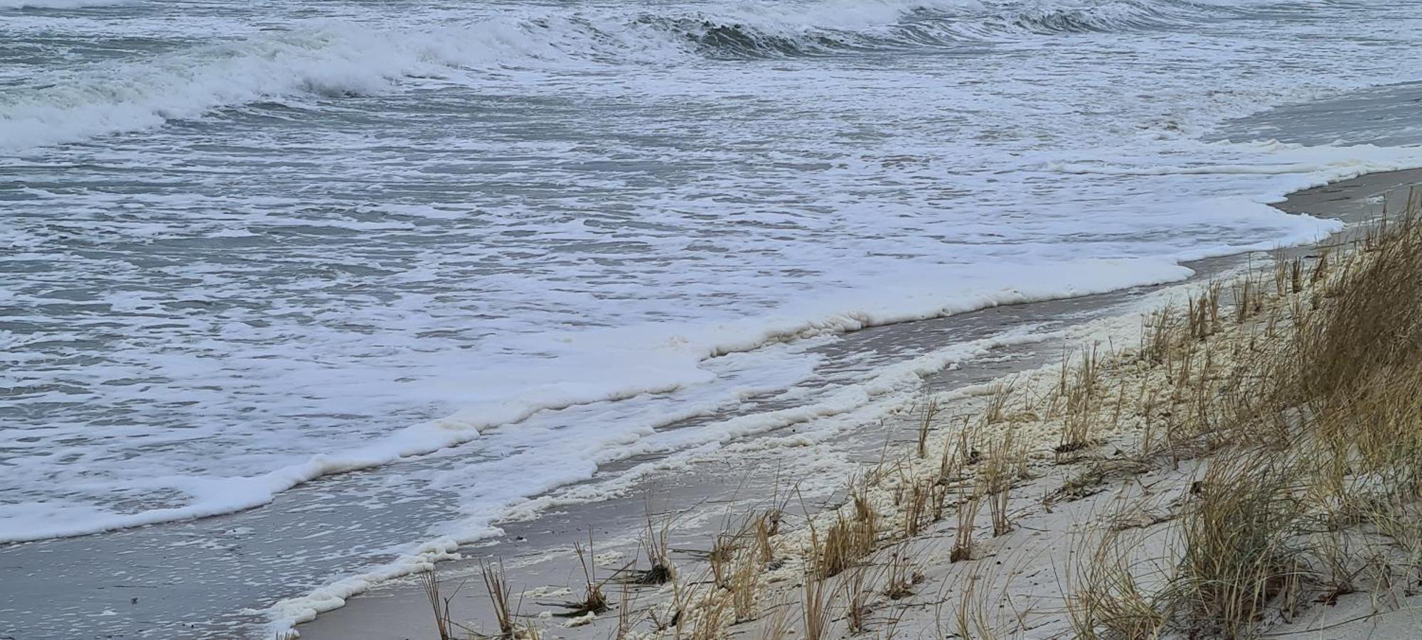 Haus Nadine Lejlighed Zingst Eksteriør billede